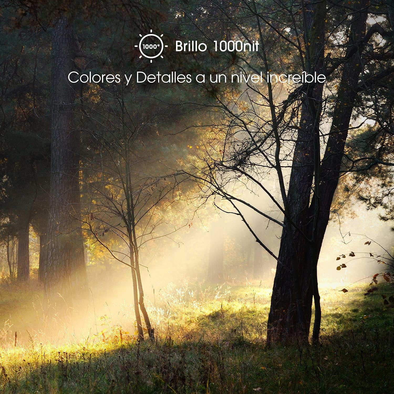 ULED Premium 65U7G QLED Series 65-Inch Android 4K Smart TV with Alexa Compatibility, 1000-Nit HDR10+, Dolby Vision & Atmos, 120Hz, HDMI 2.1, Game Mode Pro